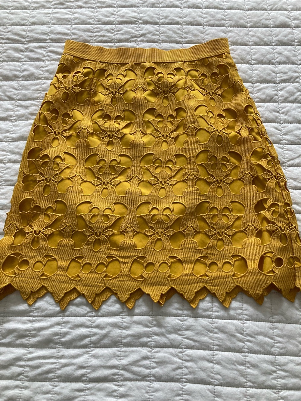 LOFT Mustard Cutout Lace A-Line Skirt